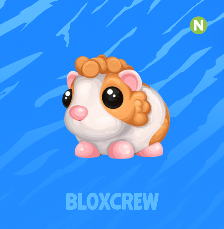 Neon Red Dutch Guinea Pig