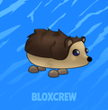 Hedgehog