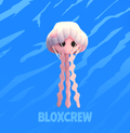 Jellyfish