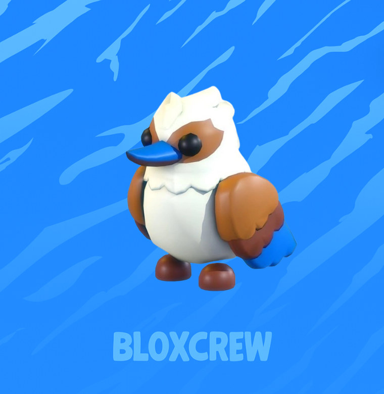 Kookaburra
