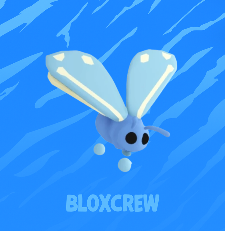 Glacier Moth