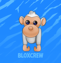 Albino Monkey