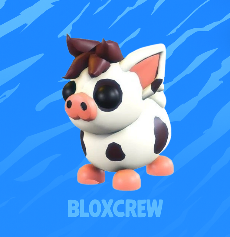 Mini Pig