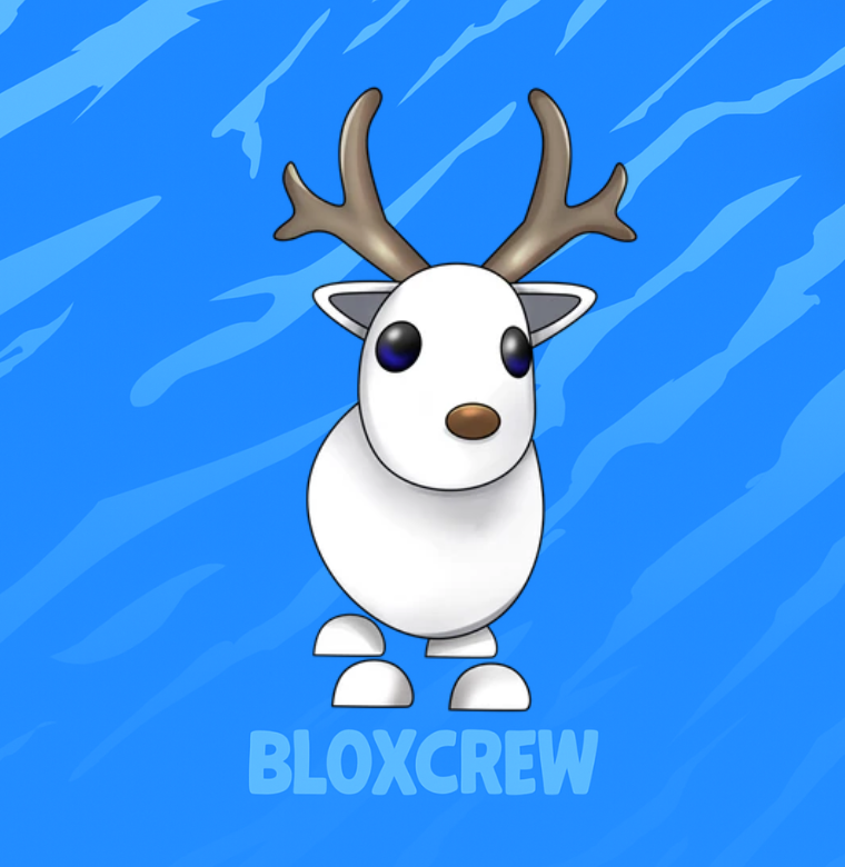 Arctic Reindeer