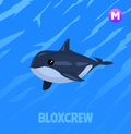 Mega Orca