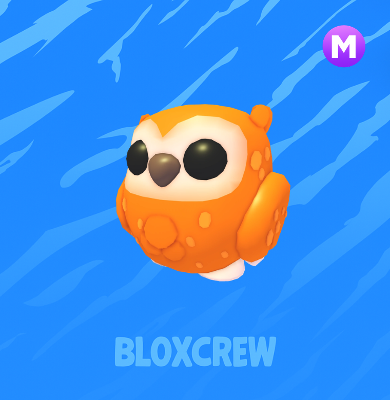 Mega Clementine Owl