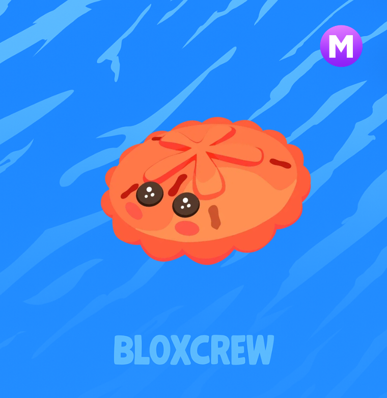 Mega Sand Dollar