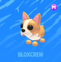 Mega French Bulldog
