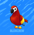 Parrot
