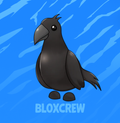 Crow