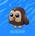 Owl