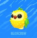 Pineapple Owl