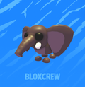 Bush Elephant