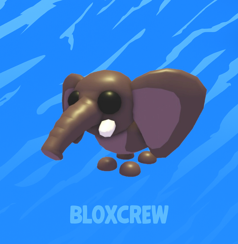 Bush Elephant