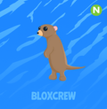 Neon Meerkat