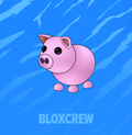 Pig