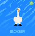 Neon Swan