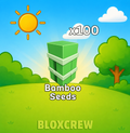 x100 Bamboo Seeds