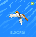Neon Hawk