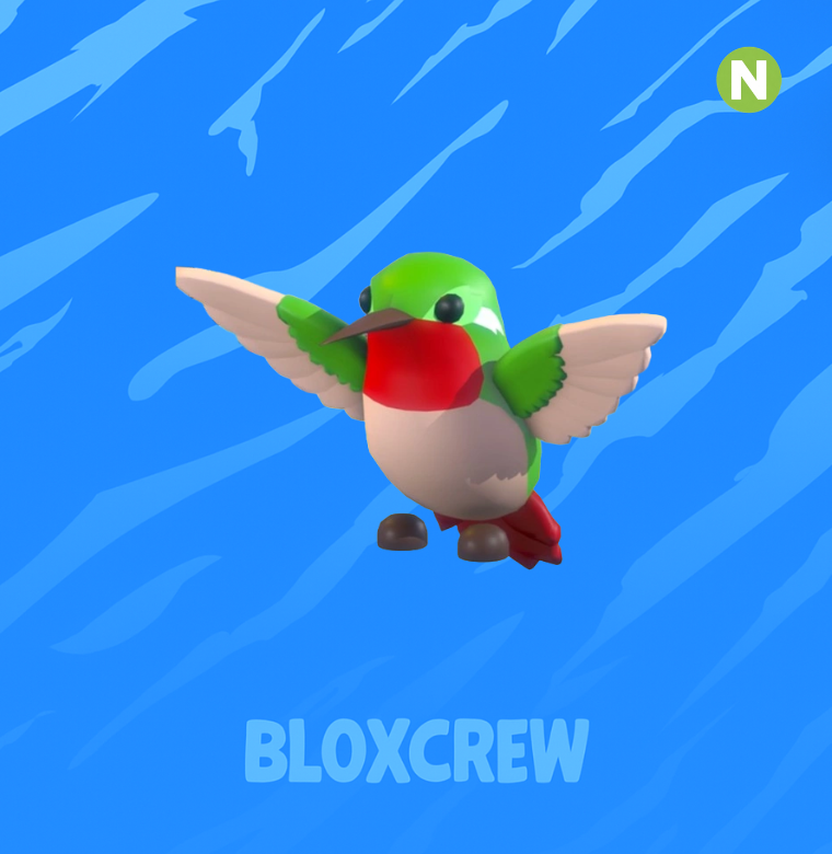 Neon Hummingbird