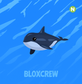 Neon Orca