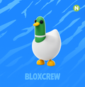 Neon Silly Duck