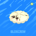 Neon Sand Dollar