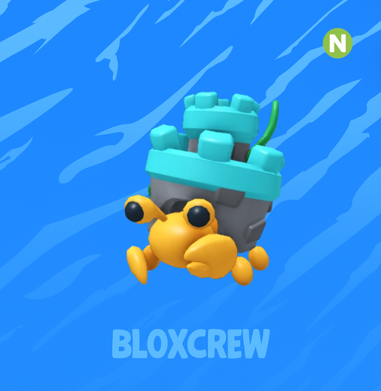 Neon Castle Hermit Crab