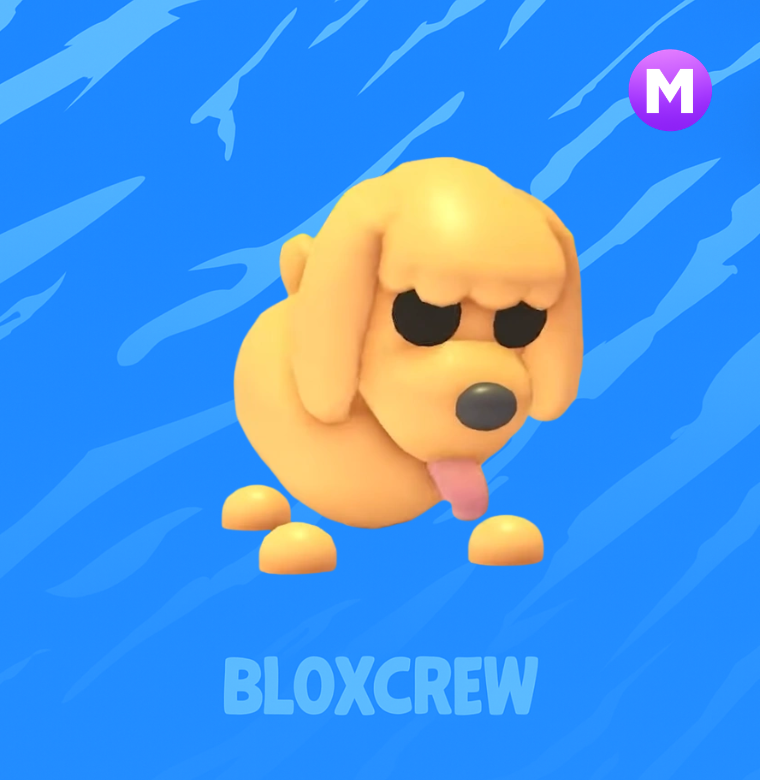 Mega Toy Poodle