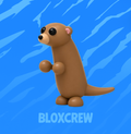 Meerkat