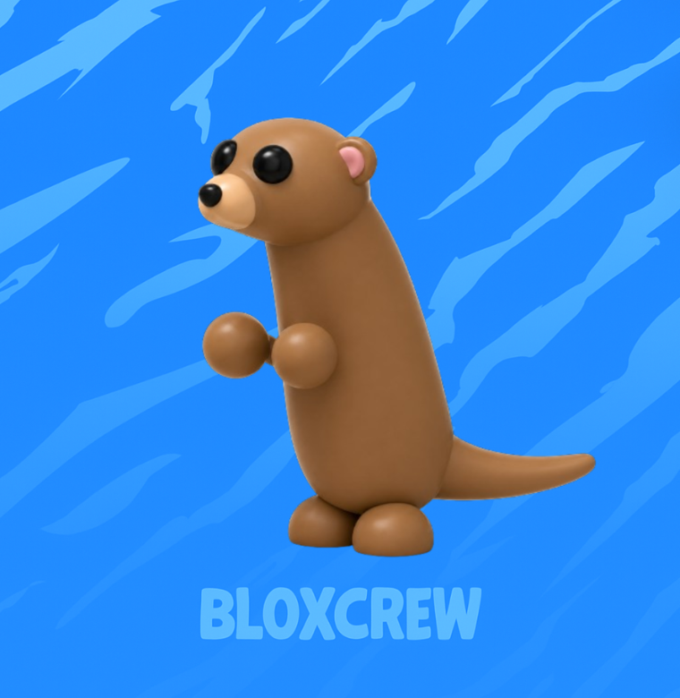 Meerkat