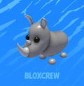 Rhino