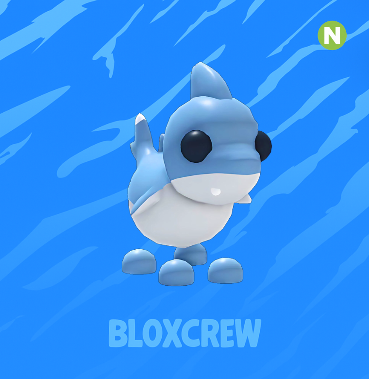 Neon Shark Puppy