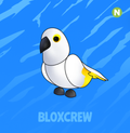 Neon White Amazon