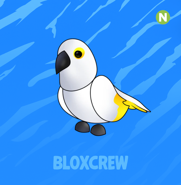 Neon White Amazon