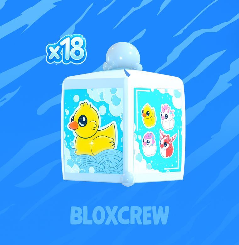 x18 Rubber Ducky Box