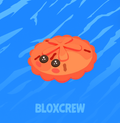 Red Sand Dollar