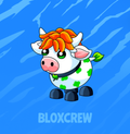 Clover Cow