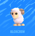 Ram