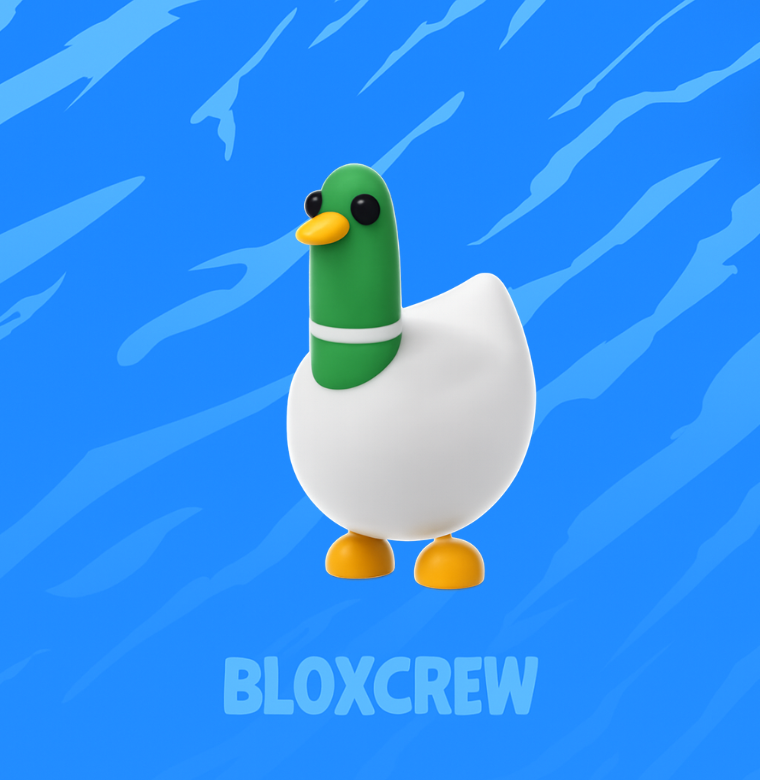 Silly Duck