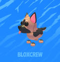 German Shepherd