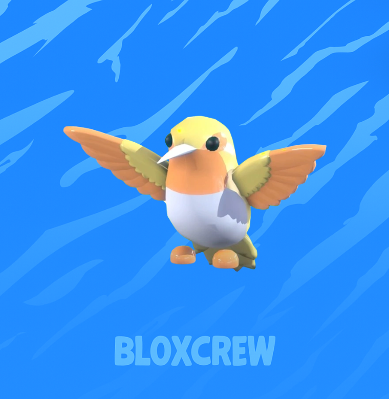 Golden Hummingbird