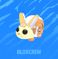 Bunny Swirl