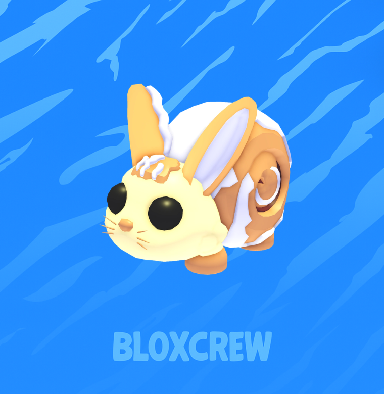 Bunny Swirl