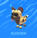 African Wild Dog
