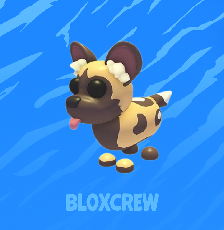 African Wild Dog