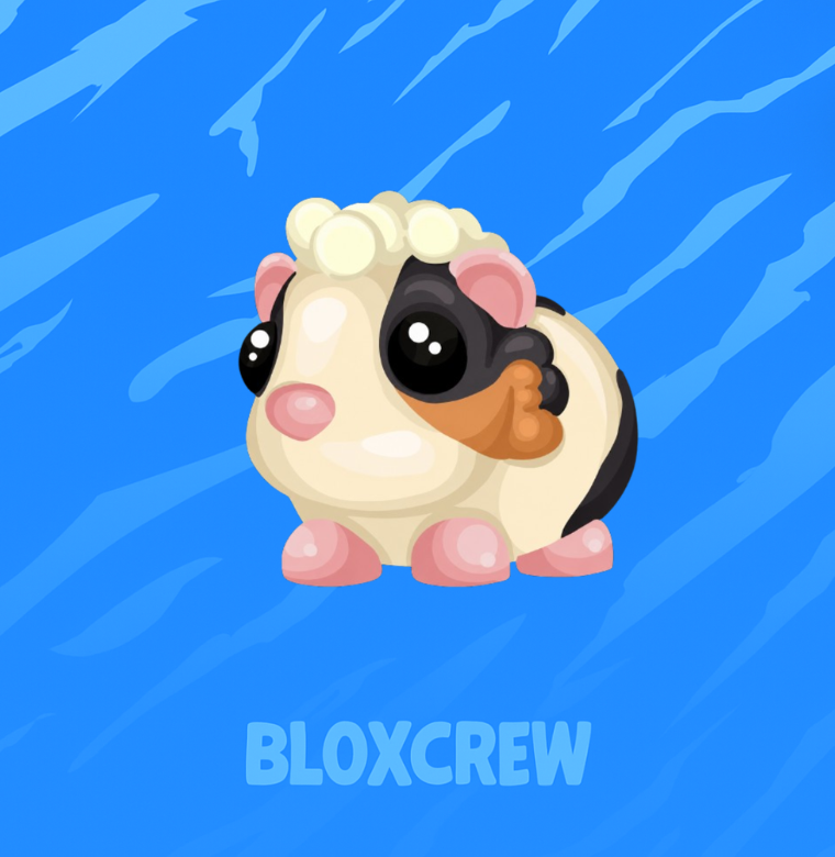 Tortoiseshell Guinea Pig