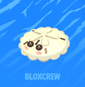 White Sand Dollar