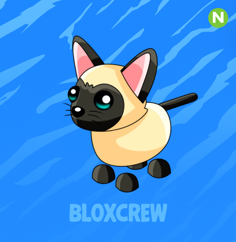 Neon Siamese Cat