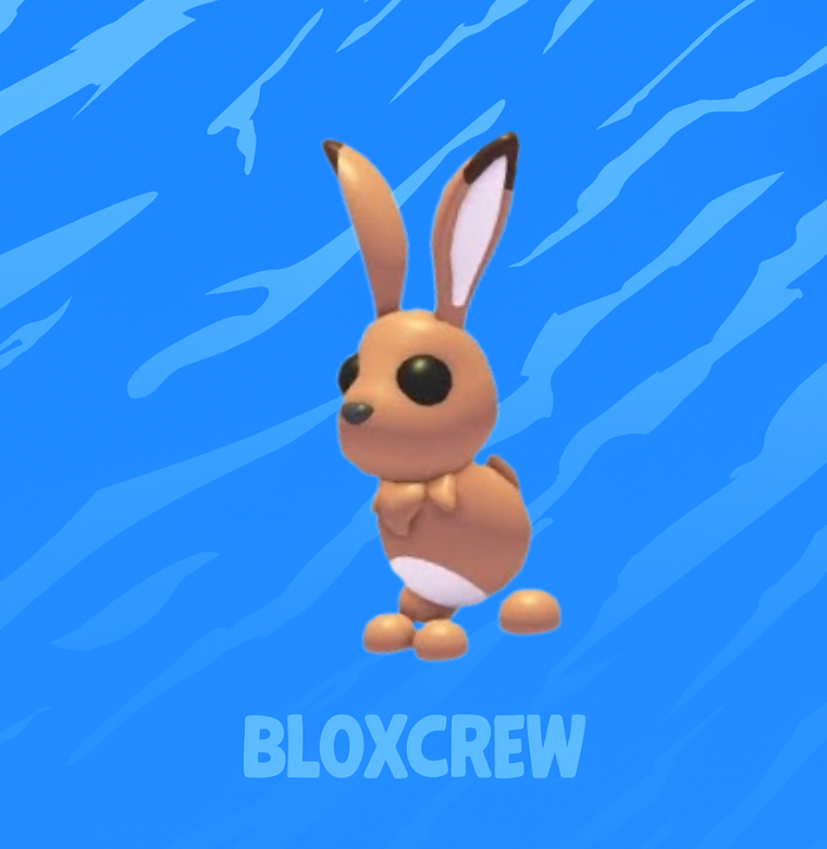 Hare